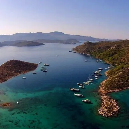 Metto بوزبورون