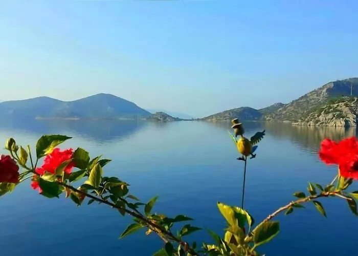 فندق Metto بوزبورون